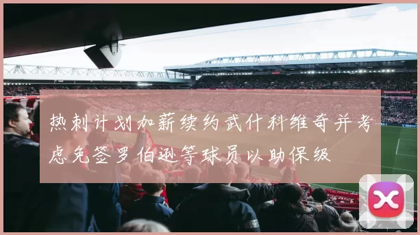 热刺计划加薪续约武什科维奇并考虑免签罗伯逊等球员以助保级